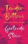 Gertrude Stein - Tender Buttons - Objects. Food. Rooms.;With an Introduction by Sherwood Anderson