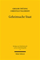 Grego Thüsing, Gregor Thüsing, Christian Waldhoff - Geheimsache Staat