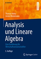 Thoma Holey, Thomas Holey, Armin Wiedemann - Analysis und Lineare Algebra