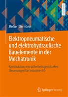 Herbert Bernstein, Herbert (Dipl.-Ing.) Bernstein - Elektropneumatische und elektrohydraulische Bauelemente in der Mechatronik