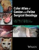 Julius Buracco Liptak, Julius M. Buracco Liptak, Nicholas J. Bacon, Paolo Buracco, William T. N. Culp, Julius Liptak... - Color Atlas of Canine and Feline Surgical Oncology
