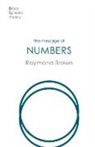 Raymond Brown, Raymond (Author) Brown - The Message of Numbers