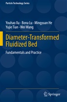 Mingyuan He, Mingyuan et al He, Bon Lu, Bona Lu, Yujie Tian, Wei Wang... - Diameter-Transformed Fluidized Bed