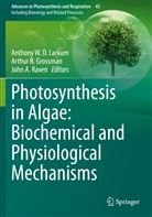 John A Raven, Arthur R. Grossman, Anthony W. D. Larkum, Anthony W.D. Larkum, Arthu R Grossman, Arthur R Grossman... - Photosynthesis in Algae: Biochemical and Physiological Mechanisms