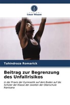Tahindraza Romarick - Beitrag zur Begrenzung des Unfallrisikos