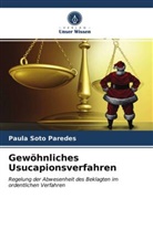 Paula Soto Paredes - Gewöhnliches Usucapionsverfahren