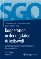 Olaf Geramanis, Olaf Geramanis, Stefa Hutmacher, Stefan Hutmacher, Lukas Walser - Kooperation in der digitalen Arbeitswelt