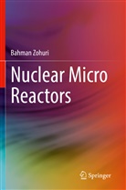 Bahman Zohuri - Nuclear Micro Reactors