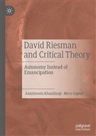 Mary Caputi, Amirhosei Khandizaji, Amirhosein Khandizaji - David Riesman and Critical Theory