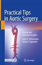 John Elefteriades, John A Elefteriades, John A. Elefteriades, Bulat A Ziganshin, Bulat A. Ziganshin - Practical Tips in Aortic Surgery