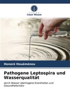 Honoré Houéménou - Pathogene Leptospira und Wasserqualität