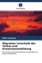Dilek Çankaya - Migration innerhalb der Türkei und Erwachsenenbildung