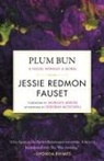 Jessi Redmon Fauset, Jessie Redmon Fauset, Morgan Jerkins, Deborah McDowell, Jessie Redmon Fauset - Plum Bun
