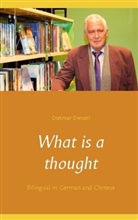Dietmar Dressel - What is a thought