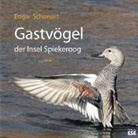Edgar Schonart - Gastvögel der Insel Spiekeroog 01