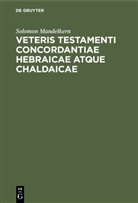 Solomon Mandelkern - Veteris testamenti concordantiae hebraicae atque chaldaicae