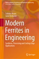 Sabrin Arcaro, Sabrina Arcaro, Janio Venturini - Modern Ferrites in Engineering
