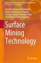 Abdelhak Elsaghier, Hassan Ali Abdelhak Elsaghier, Mostafa Mohame Ali Elbeblawi, Mostafa Mohamed Ali Elbeblawi, Wael Rashad Elrawy Abdellah, Mostafa Tantawy Mohamed Amin - Surface Mining Technology