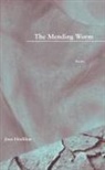 Joan Houlihan - The Mending Worm