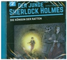 David Bredel, Arthur Conan Doyle, Florian Fickel - Der junge Sherlock Holmes - Die Königin der Ratten. Tl.2 (Hörbuch)
