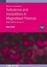 Bruce Scott, Bruce (Max-Planck Institute for Plasma Physics Scott - Turbulence and Instabilities in Magnetised Plasmas, Volume 1