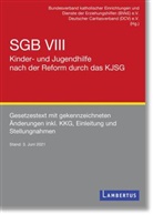 Bundesverband Caritas, BVK, BVKE, Caritasverband e V, Caritasverband e V, Caritasverband Deutscher... - SGB VIII - Kinder- und Jugendhilfe nach der Reform durch das KJSG