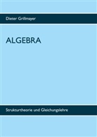 Dieter Grillmayer - Algebra