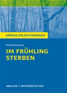 Stefan Munaretto, Ralf Rothmann - Im Frühling sterben von Ralf Rothmann