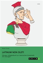Hannes Schmidt - Latinum non olet!