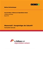 Markus Reichenberger - Wasserstoff - Energieträger der Zukunft?