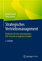 Bern Scheed, Bernd Scheed, Petra Scherer - Strategisches Vertriebsmanagement