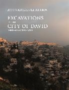 Ronny Reich, Ronny Shukron Reich, Reich Ronny, Eli Shukron - Excavations in the City of David, Jerusalem (1995-2010)