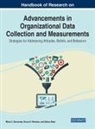 Mihai Bocarnea, Mihai C. Bocarnea, Debra Dean, Bruce E. Winston - Handbook of Research on Advancements in Organizational Data Collection and Measurements