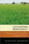 Mukulika Banerjee, Mukulika (Associate Professor of Anthrop Banerjee, Mukulika (Associate Professor of Anthropology Banerjee, Banerjee Mukulika - Cultivating Democracy