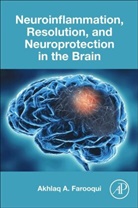Akhlaq A Farooqui, Akhlaq A. Farooqui, Farooqui Akhlaq A. - Neuroinflammation, Resolution, and Neuroprotection in the Brain