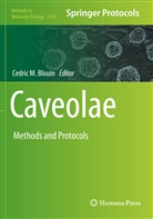 Cedric M. Blouin, Cedri M Blouin, Cedric M Blouin - Caveolae