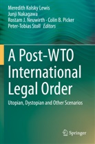 Rostam J Neuwirth et al, Meredith Kolsky Lewis, Junj Nakagawa, Junji Nakagawa, Rostam J. Neuwirth, Colin B. Picker... - A Post-WTO International Legal Order