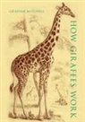 Graham Mitchell, Graham (Emeritus Professor of Zoology an Mitchell, Mitchell Graham - How Giraffes Work