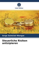 Serge Saintclair Ntengue - Steuerliche Risiken antizipieren