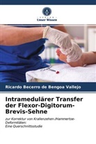 Ricardo Becerro de Bengoa Vallejo - Intramedulärer Transfer der Flexor-Digitorum-Brevis-Sehne