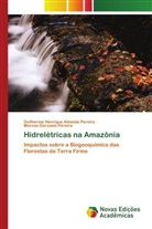Guilherme Henrique Almeida Pereira, Marcos Gervasio Pereira - Hidrelétricas na Amazônia