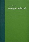 Affentranger, Angelika Affentranger, Helen Hirsch, Susanne Koeberle, Helen Hirsch Kunstmuseum Thun - Entwegte Landschaft