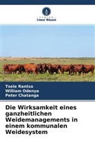 Peter Chatanga, Willia Odenya, William Odenya, Tsel Rantso, Tsele Rantso - Die Wirksamkeit eines ganzheitlichen Weidemanagements in einem kommunalen Weidesystem