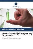 Anyanwu Reginald Chidiebere - Arbeitsschutzgesetzgebung in Ontario: