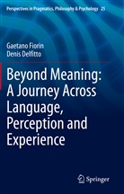 Denis Delfitto, Gaetan Fiorin, Gaetano Fiorin - Beyond Meaning: A Journey Across Language, Perception and Experience