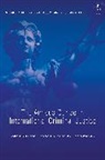 Emma Palmer, Sarah Williams, Hannah Woolaver - The Amicus Curiae in International Criminal Justice