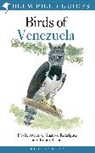 David Ascanio, Robin Restall, Gustavo Rodriguez - Birds of Venezuela