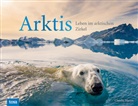 Claudia Martin - Arktis