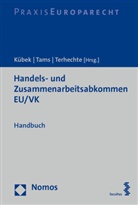 Gesa Kübek, Christian J. Tams, Jörg Terhechte - Handels- und Zusammenarbeitsabkommen EU/VK