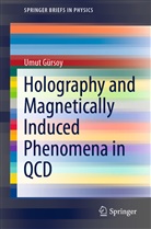 Umut Gürsoy - Holography and Magnetically Induced Phenomena in QCD